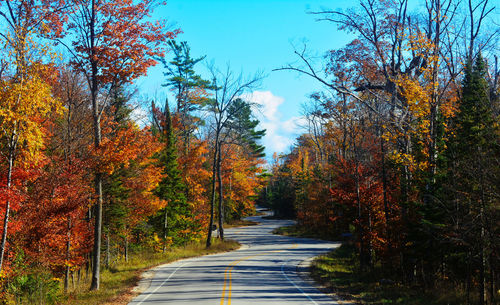 Footpath amidst trees against sky