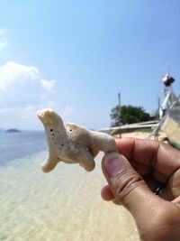 Close-up of man holding stick on beach against sky