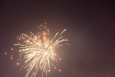 Low angle view of firework display at night