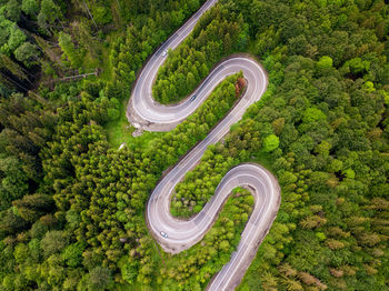 Winding road trough dense forest. aerial drone view, top down