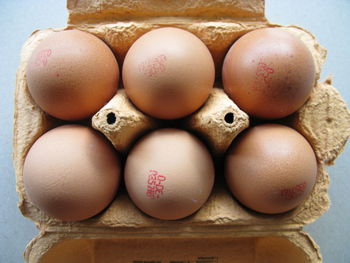 Close-up of eggs