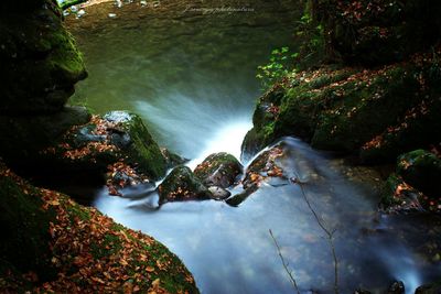 Stream flowing through rocks