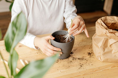 Close-up girl's hands planting a garlic sprout. young botanist and gardener. hobby for home