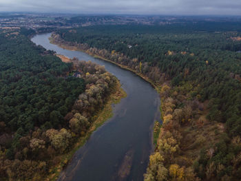 High angle view of river amidst trees in forest