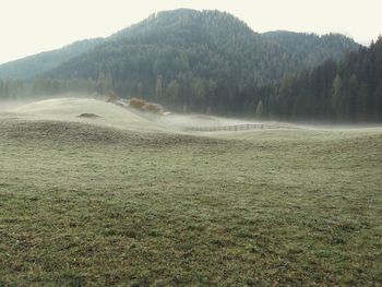 Scenic view of landscape