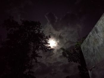 Low angle view of silhouette trees against sky at night