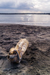 Close-up of an abandoned bottle on beach