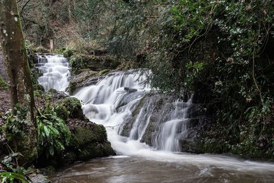 Waterfall in forest