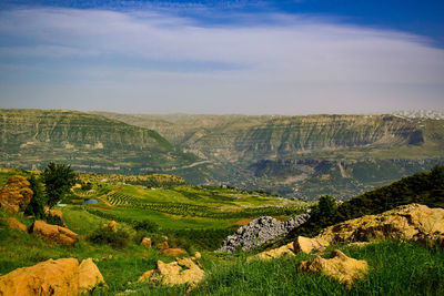 Lush valley with blue pond