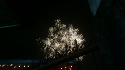 Low angle view of illuminated sky at night