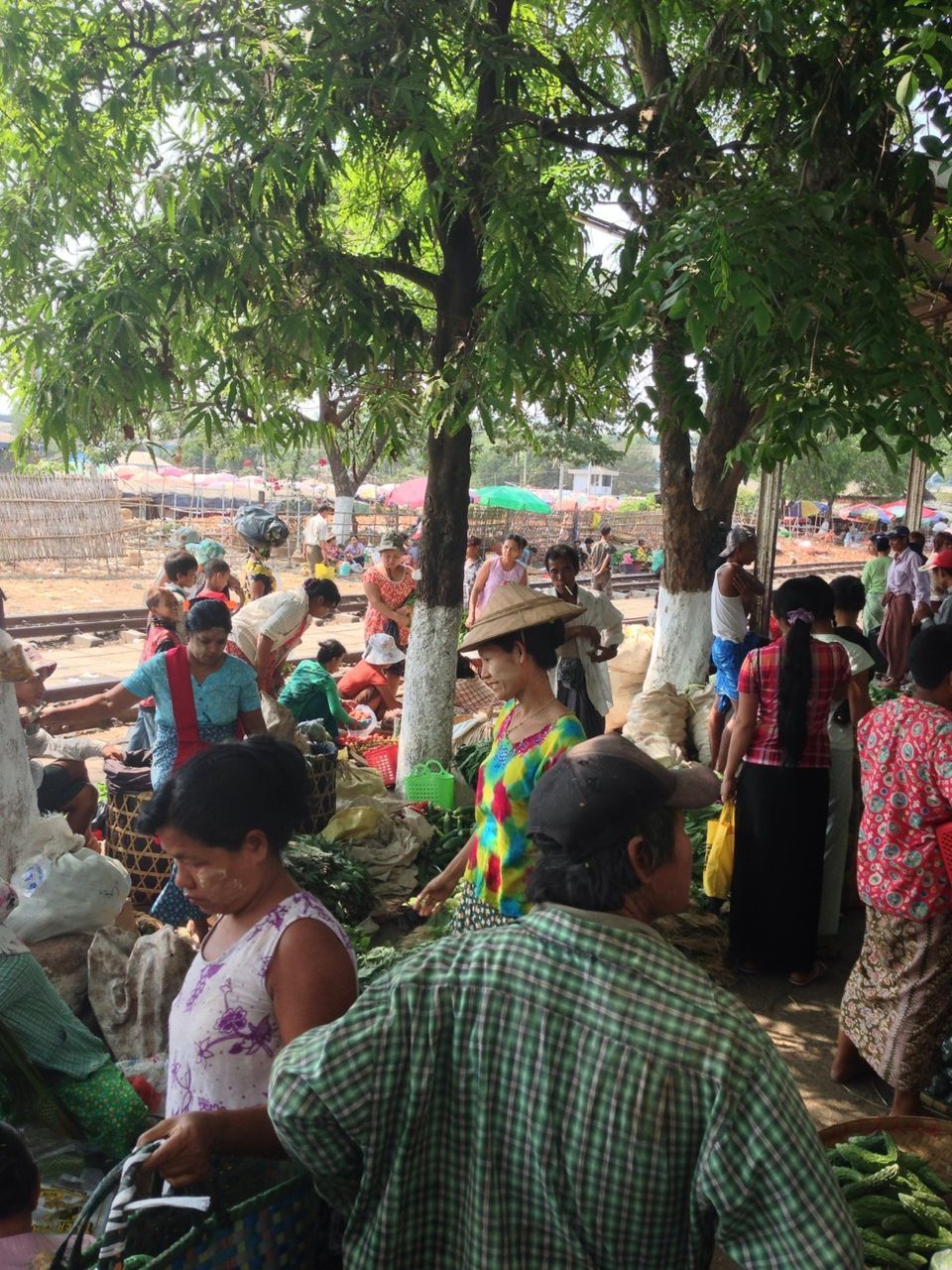 tree, men, lifestyles, person, large group of people, leisure activity, casual clothing, togetherness, sitting, market, day, outdoors, market stall, rear view, retail, walking, abundance, selling, mixed age range