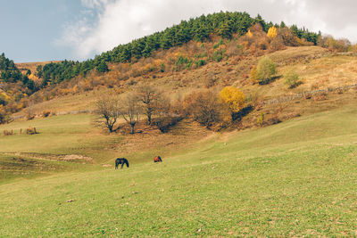 Beautiful nature scenic of forest and river trails in european country.