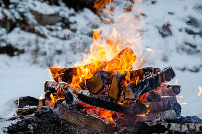 Bonfire on wooden log in winter