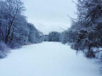snow