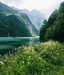 Scenic view of lake and mountains against sky