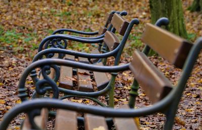 Close-up of bicycle in park