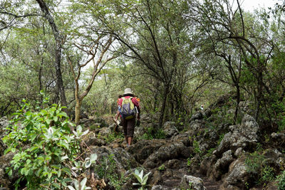 A rear view of a female hiker in the forest