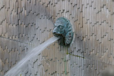 Lion head fountain on wall