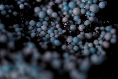 Full frame shot of wet berries