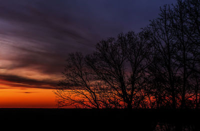 Silhouette trees against dramatic sky during sunset