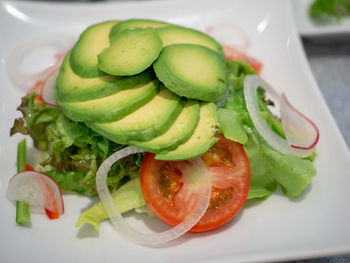 Close-up of salad served in plate