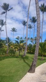 Palm trees on landscape against cloudy sky