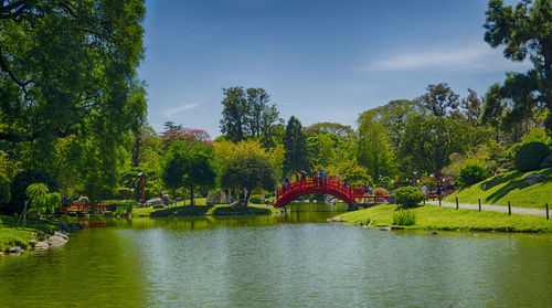 Scenic view of river by trees against sky