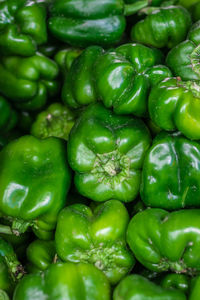 Fresh organic green capsicum from farm close up from different angle