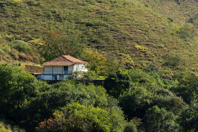 House amidst plants and trees in forest