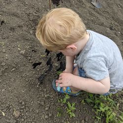 High angle view of boy lying on land