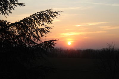 Silhouette trees against sky during sunset