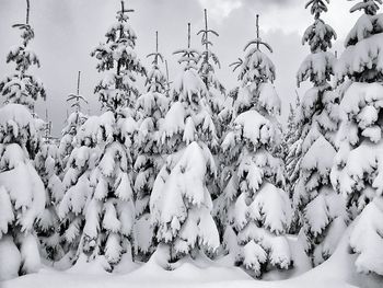 Scenic view of snow against sky during winter