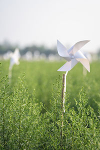 Close-up of toy on field against sky