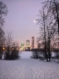 Bare trees on snow covered city