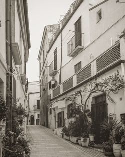 Alley amidst buildings in city