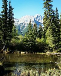 Scenic view of lake with mountains in background