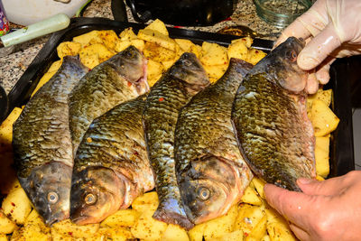 Midsection of person holding fish at market