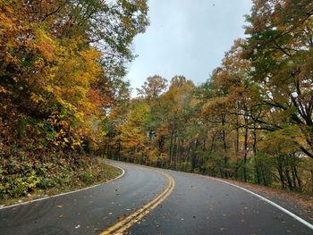 Empty road amidst trees against sky