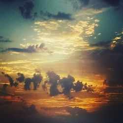 Silhouette trees against sky during sunset