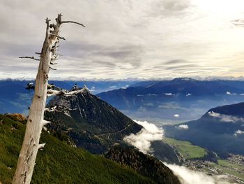 View on alps from hiking trail in rofan mountain area with dead tree trunk in the foreground