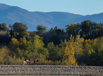 People riding horses amidst lake and trees against mountains