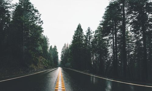 Road amidst trees in forest against clear sky