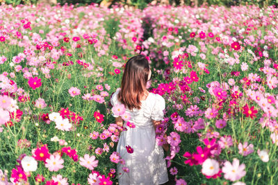 Woman standing by pink flowering plants