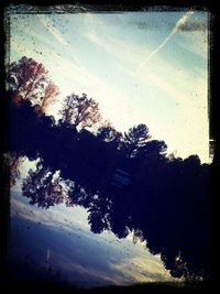 Low angle view of trees against sky