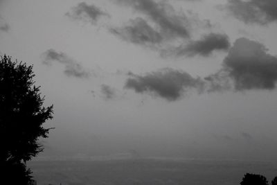 Low angle view of trees against sky