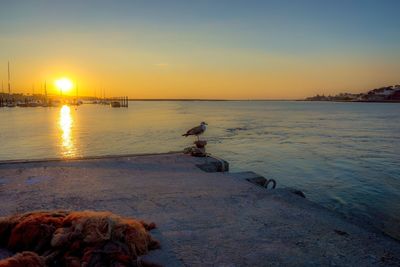 Scenic view of sea at sunset