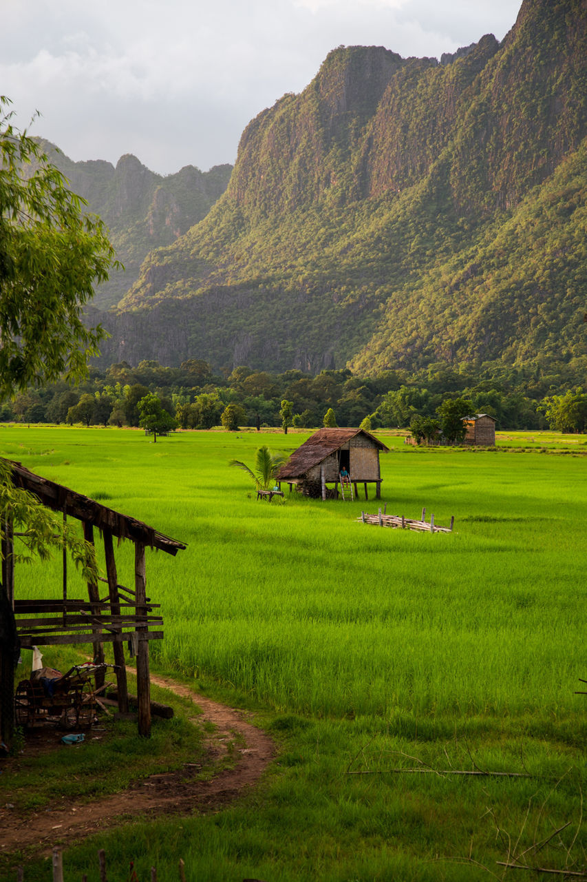 SCENIC VIEW OF AGRICULTURAL FIELD AGAINST MOUNTAINS