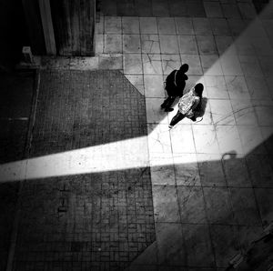 Shadow of tree on the wall