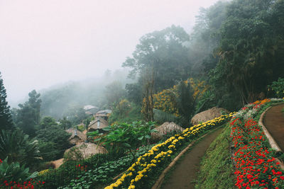 Scenic view of landscape against sky during foggy weather