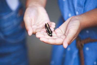 Midsection of woman holding insect outdoors